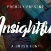 Insightful Font