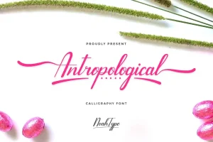 Antropological Font