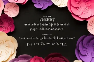 Anytime Soon Font
