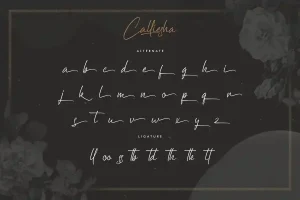 Calliesha Font