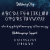 Dillsburg City Calligraphy Font - Image 5