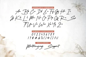 Louis Violette Font