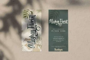 Visualist Font