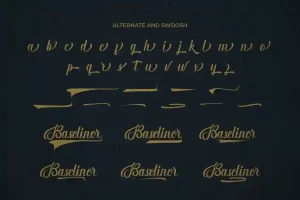 Baseliner Font