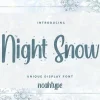 Night Snow Font