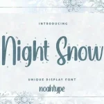 Night Snow Font