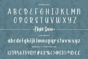 Night Snow Font