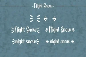 Night Snow Font