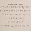 Ceryson Font