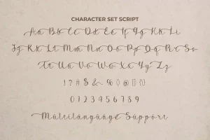 Ceryson Font
