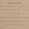 Ceryson Font
