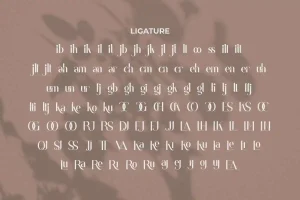 Coatesville Font
