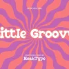 Little Groovy Font