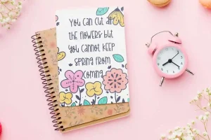 Spring Comedy Font