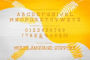 Marvin Pablo Font