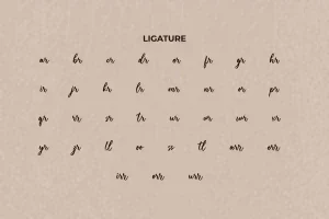 Bretha Change Font