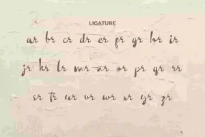 Socmed Detox Font