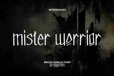 Mister Warrior