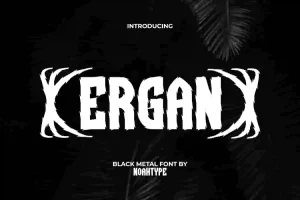 Ergan