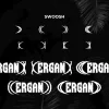 Ergan