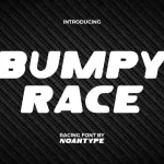 Bumpy Race
